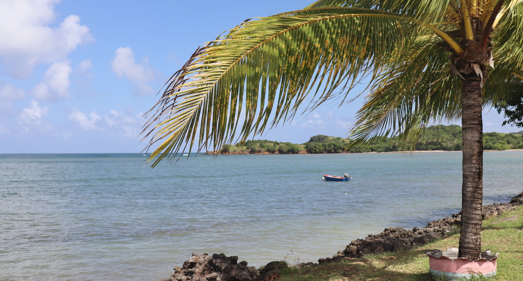 Martinique Plage