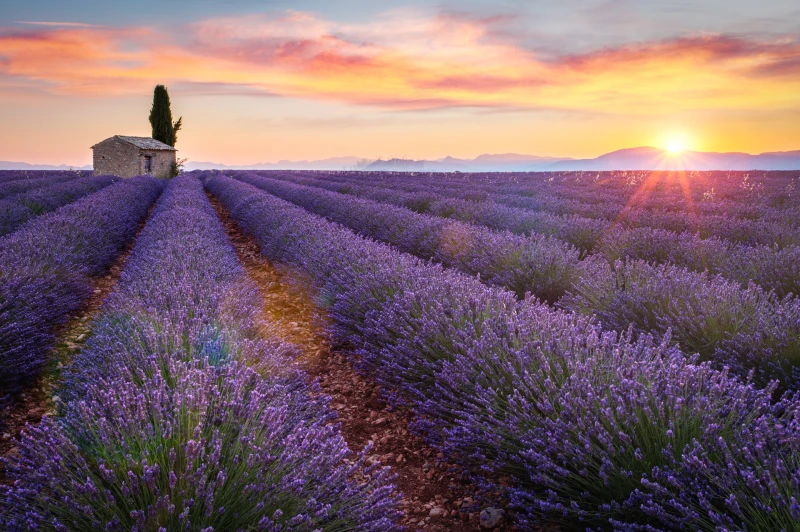 Provence