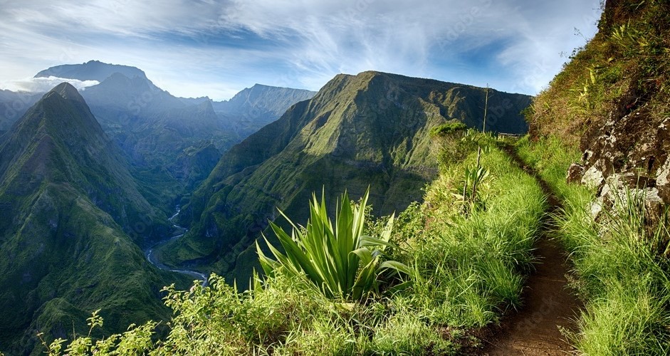 Run Montagne Et Chemin