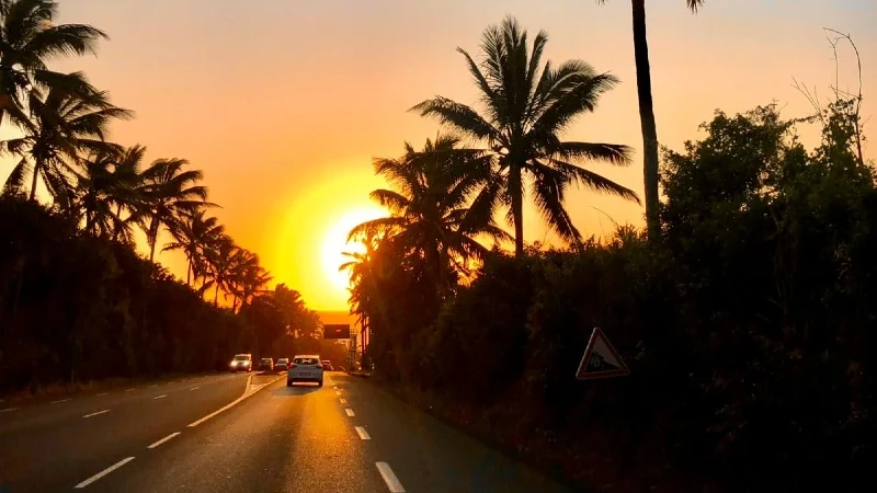 Image de l'île de la Réunion : une route avec des palmiers au coucher du soleil