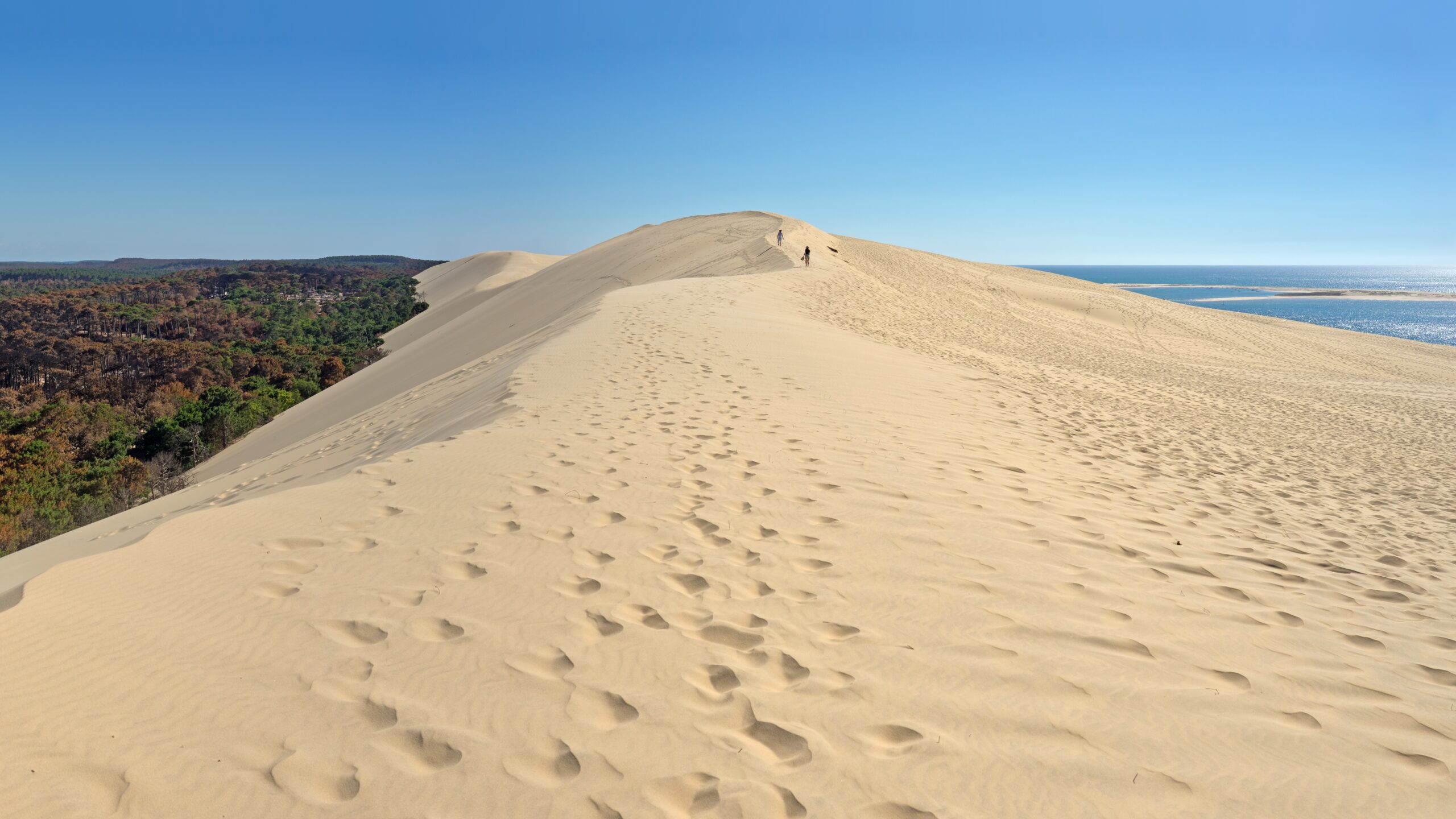 Photo au sommet de la Dune Du Pilat