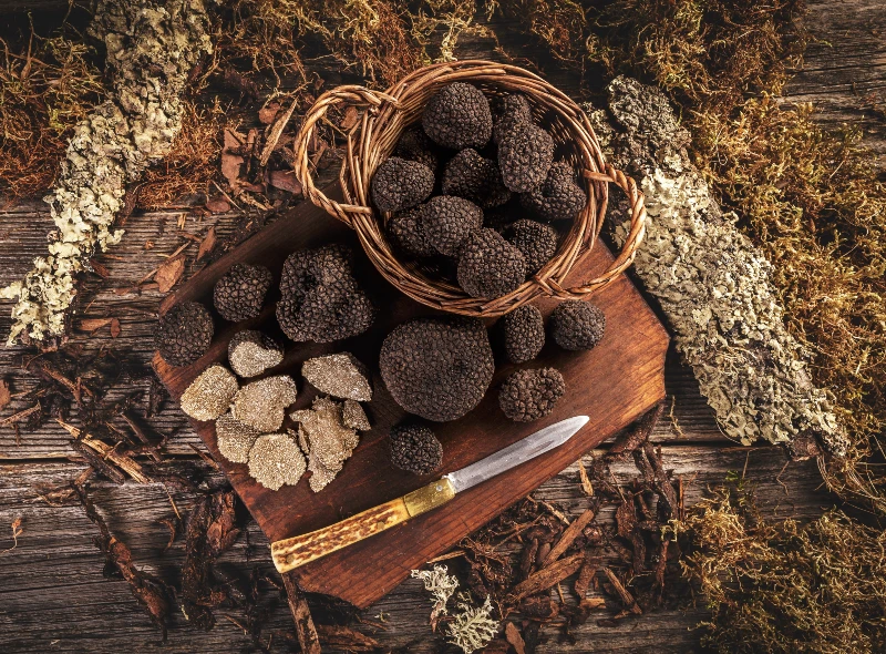 Truffes