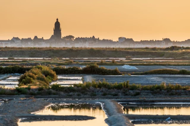 Marais Salants Guerande